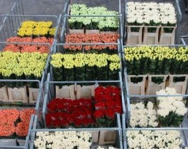Subasta de flores