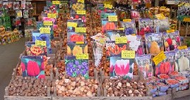 Bloemenmarkt