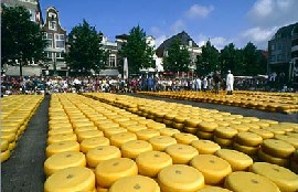 Alkmaar
