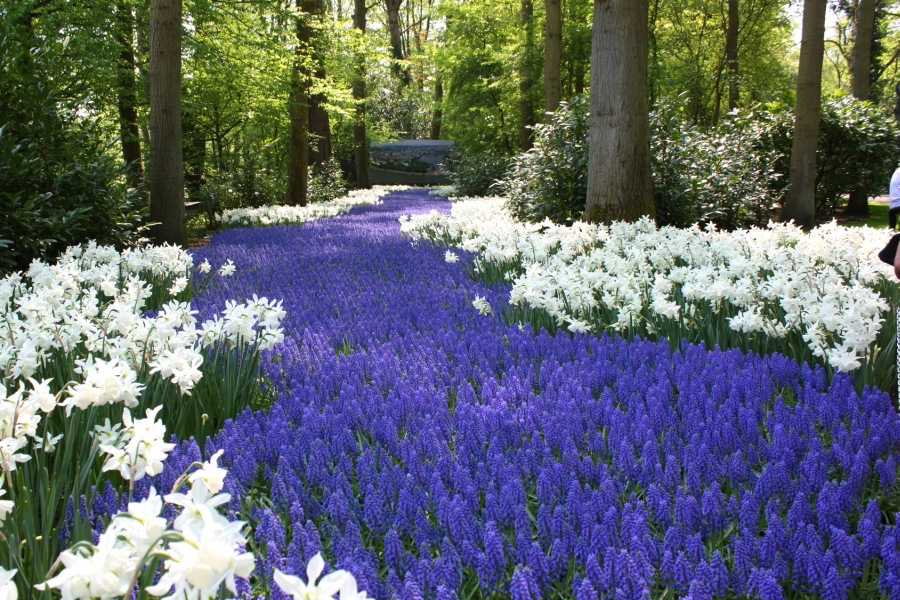 Jardines Keukenhof